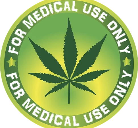 Zalecenia dotyczące przyjmowania olejków CBD ze sklepu Max Hemp